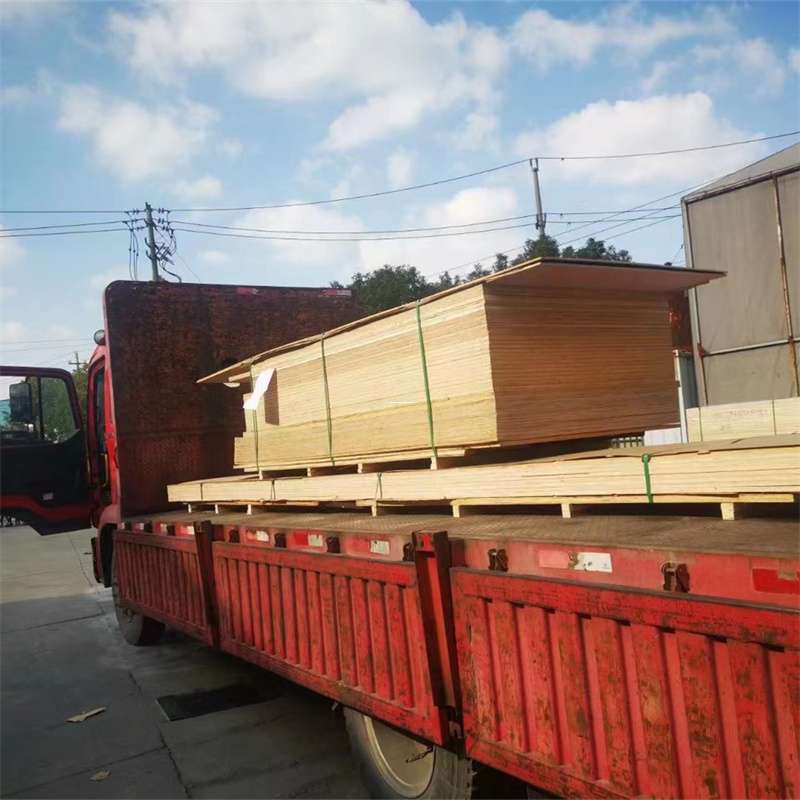 河南商丘虞城县至塔城货运专线，一站式物流服务助您成功